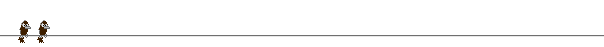 aves_.gif (7152 bytes)